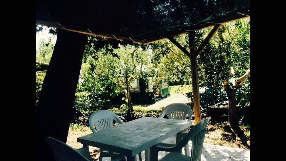 Agriturismo La Mora Assisi Eksteriør bilde
